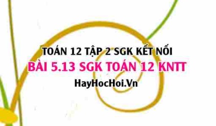 Bài 5.13 SGK Toán 12 tập 2 Kết nối tri thức